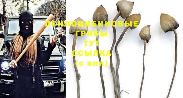 герыч Алзамай