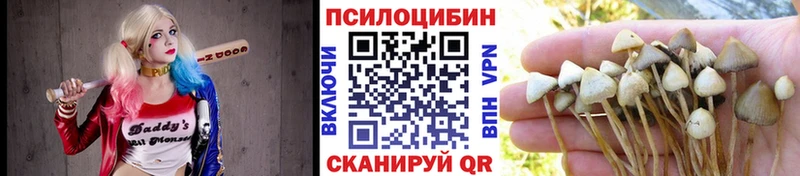 Галлюциногенные грибы ЛСД  Североуральск 